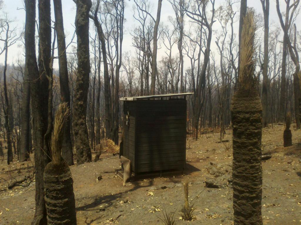 Possum Springs toilet affected but still standing.